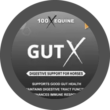 GutX Digestive Support